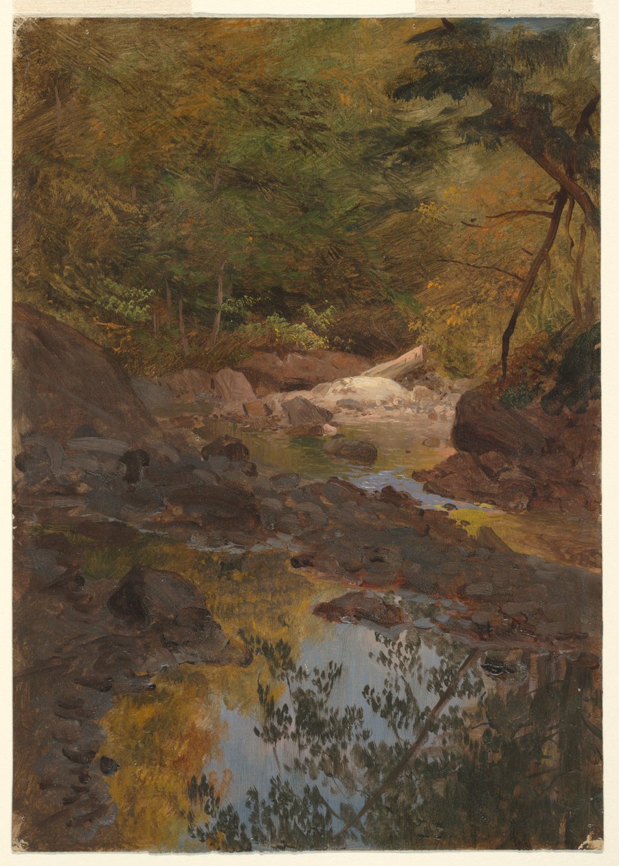 In the New England Woods, 1855–65 by Frederic Edwin Church