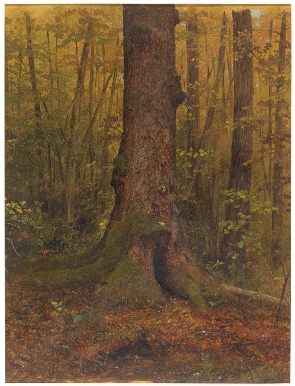 In the Woods, Probably Maine, 1850–60 by Frederic Edwin Church