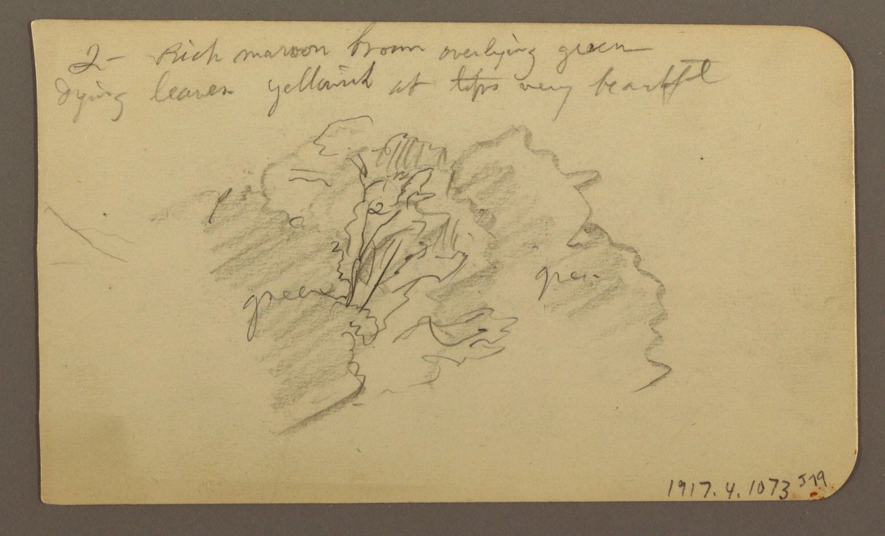 Landscape, Houses; Verso: Tree Top, February 1885 by Frederic Edwin Church