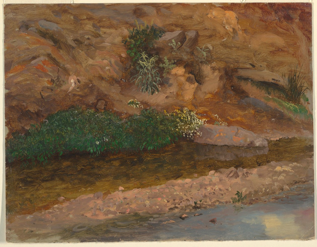 Margin of a Stream, 1860-70 by Frederic Edwin Church