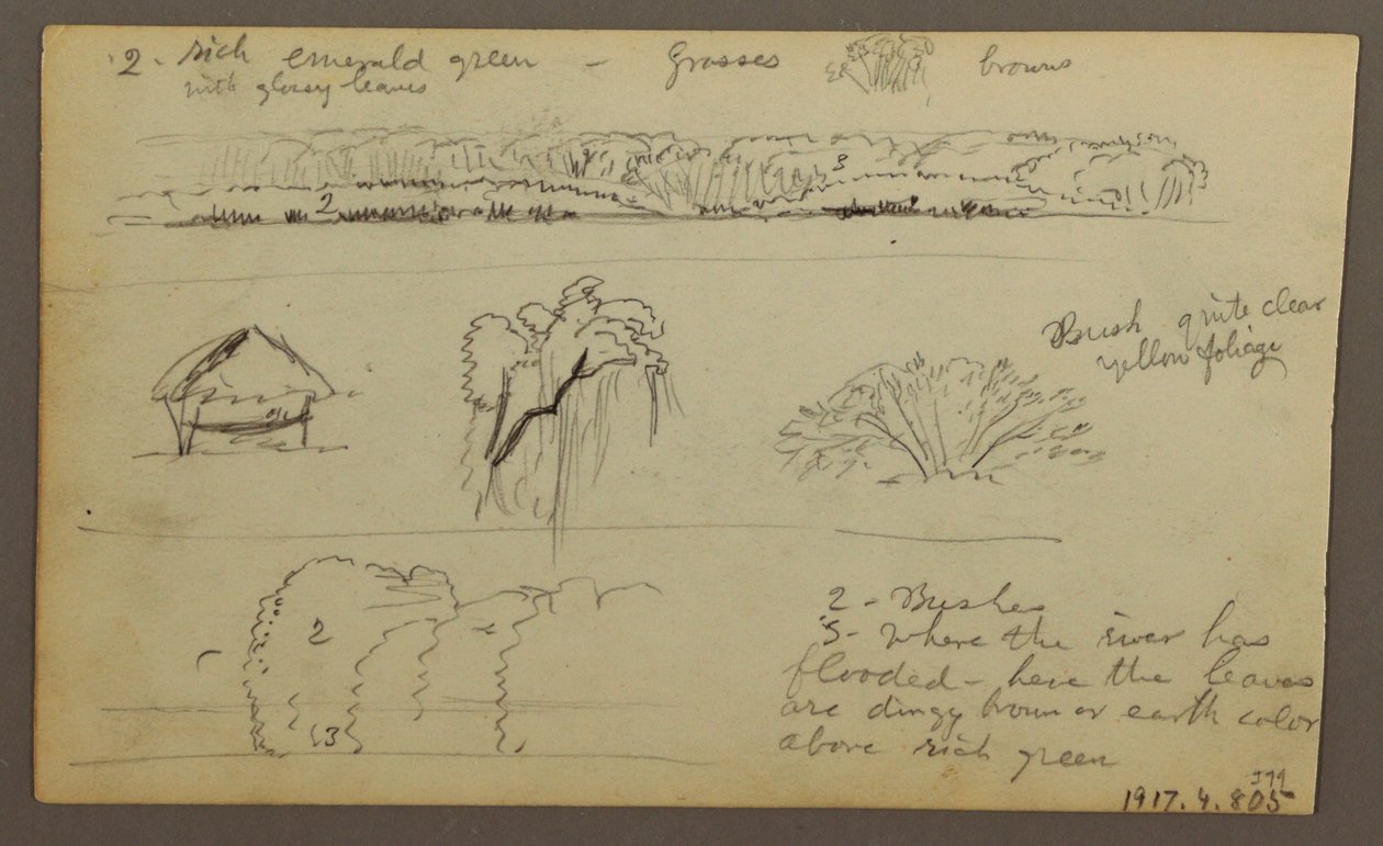 Mountain Ranges "entering Guayaquil"; Verso: River Bank, Botanical Sketches, possibly 1857 by Frederic Edwin Church