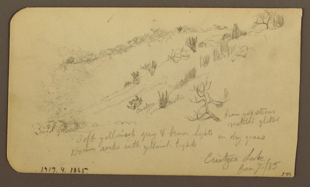 Mountain, Zapotlan; Verso: Wooded Hillside, Cuitzeo Lake, January 1885 by Frederic Edwin Church