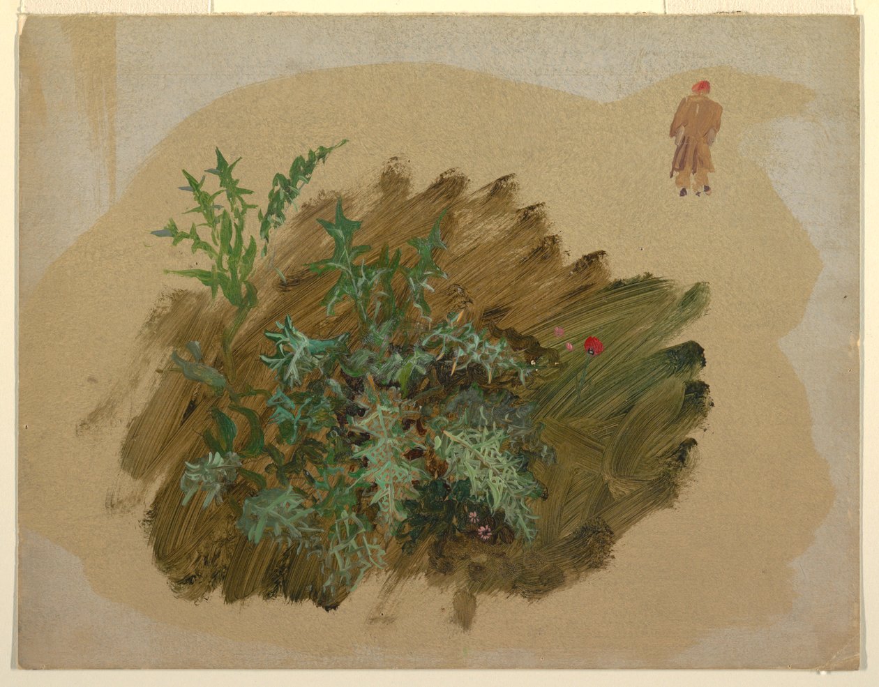 Plant Studies, 1865 by Frederic Edwin Church
