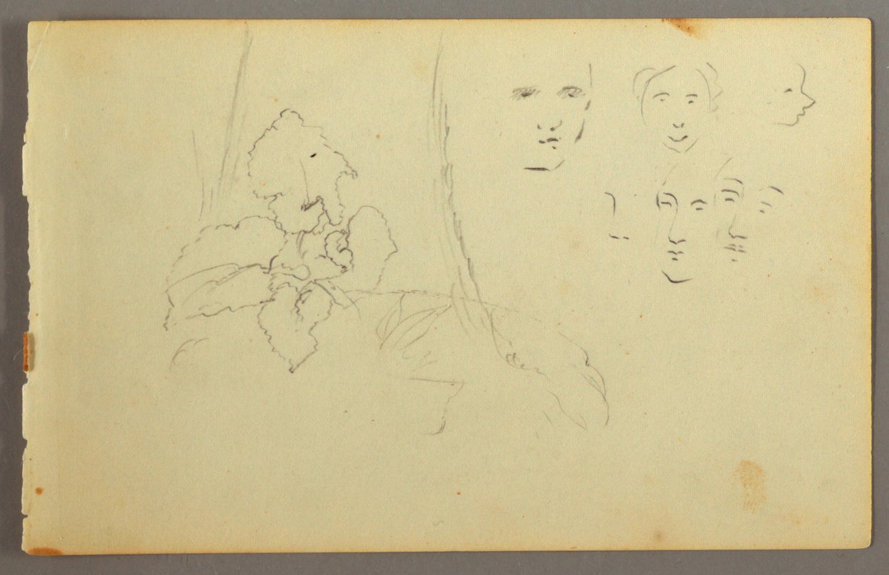 Plant Study, Faces, possibly 1844 by Frederic Edwin Church