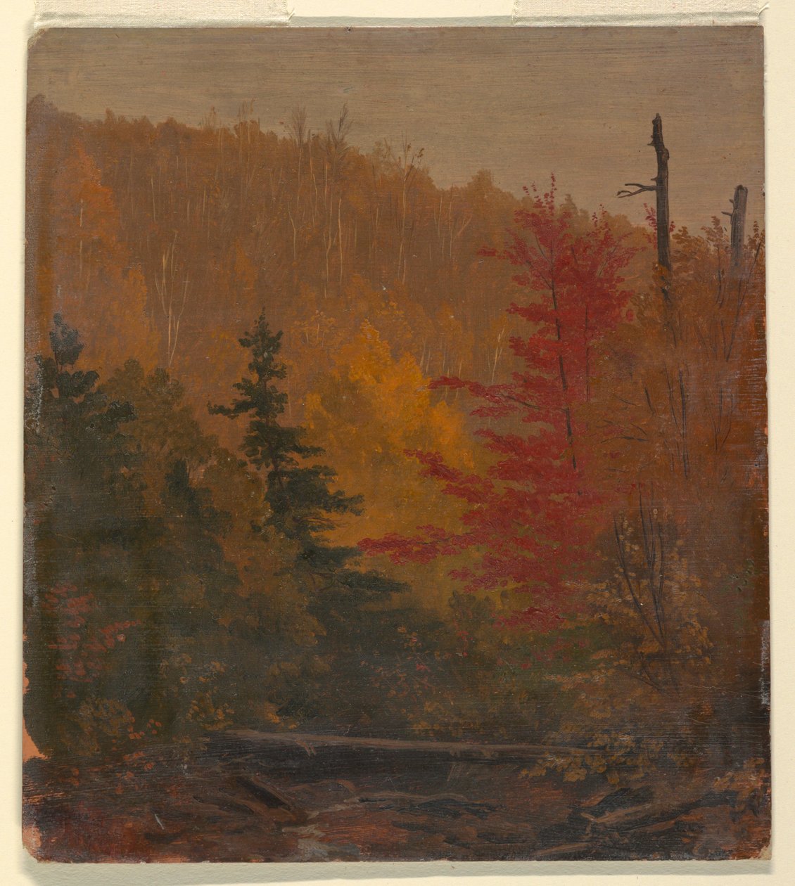 Probably near Katahdin, Autumn, 1865–70 by Frederic Edwin Church