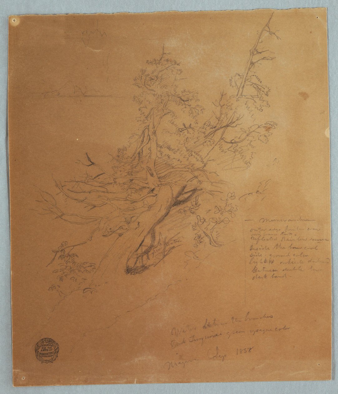 Rugged Tree at the Canadian Bank below Niagara Falls, September 1856 by Frederic Edwin Church