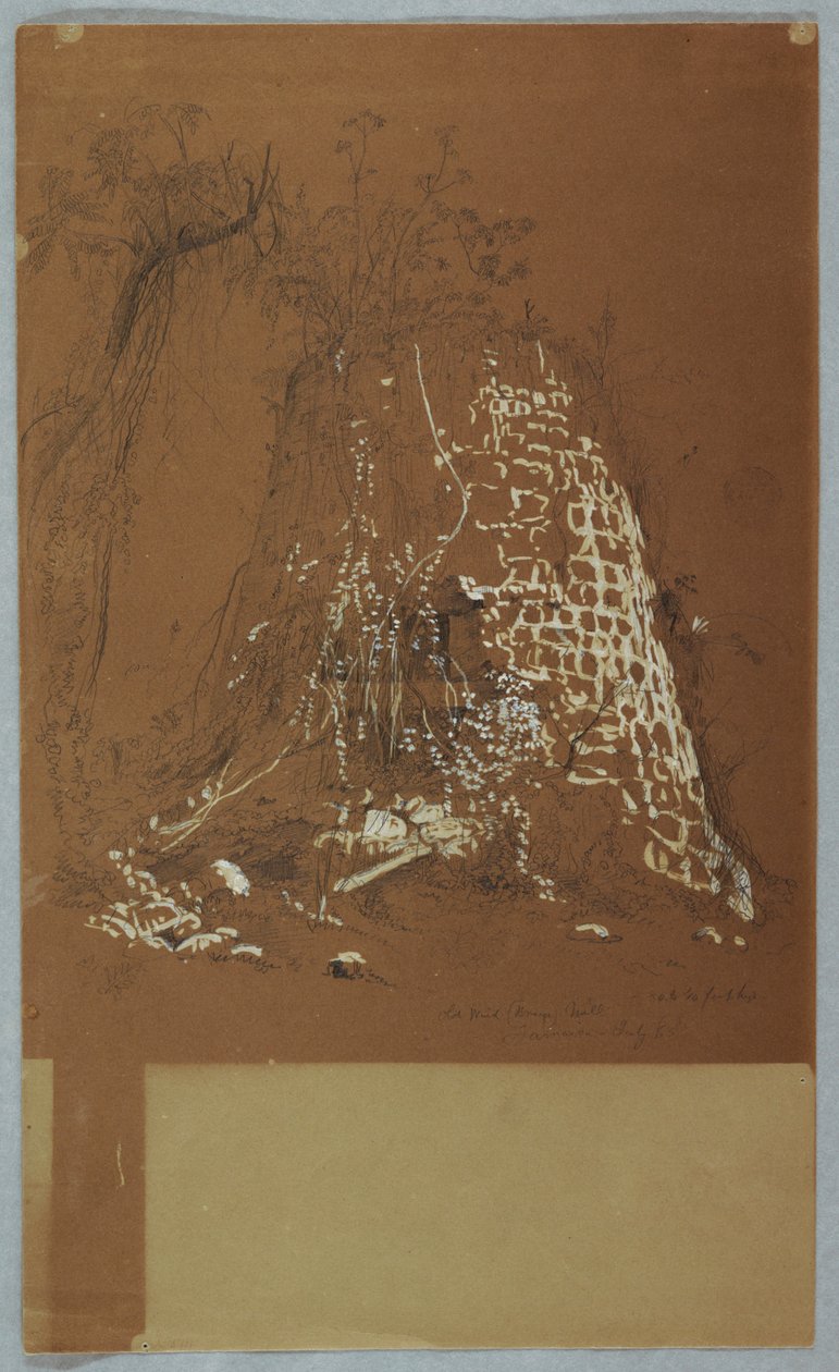Ruined Old Windmill, Jamaica, July 1865 by Frederic Edwin Church