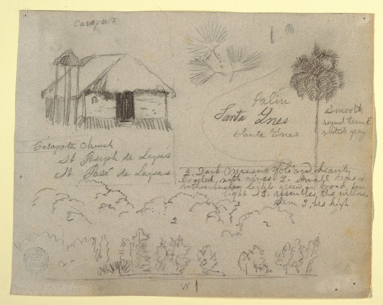 San Jose de Lapas Church, Carapata and Botanical Studies, Probably Colombia, 1853 by Frederic Edwin Church