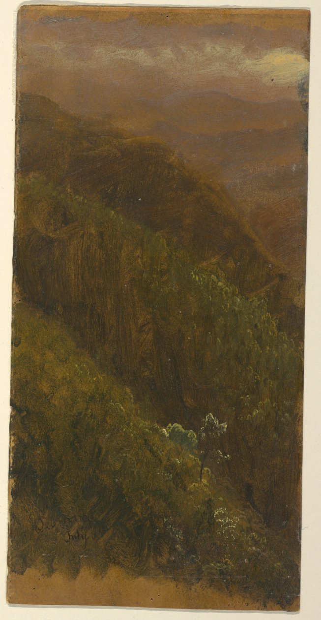 Steep Hillside, July 1865 by Frederic Edwin Church
