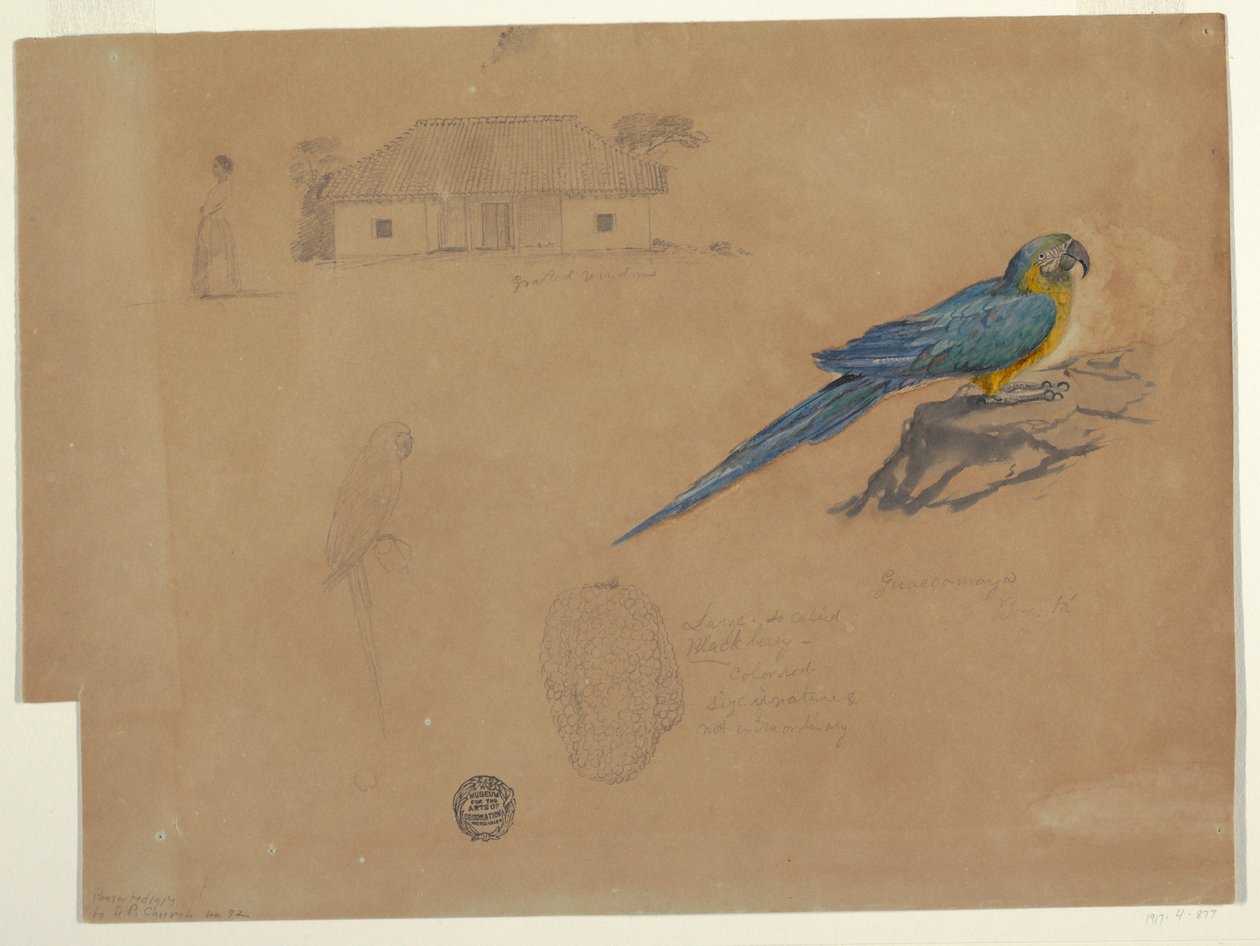 Studies from Guaccamaya, Bogotá, Colombia, June-July 1853 by Frederic Edwin Church