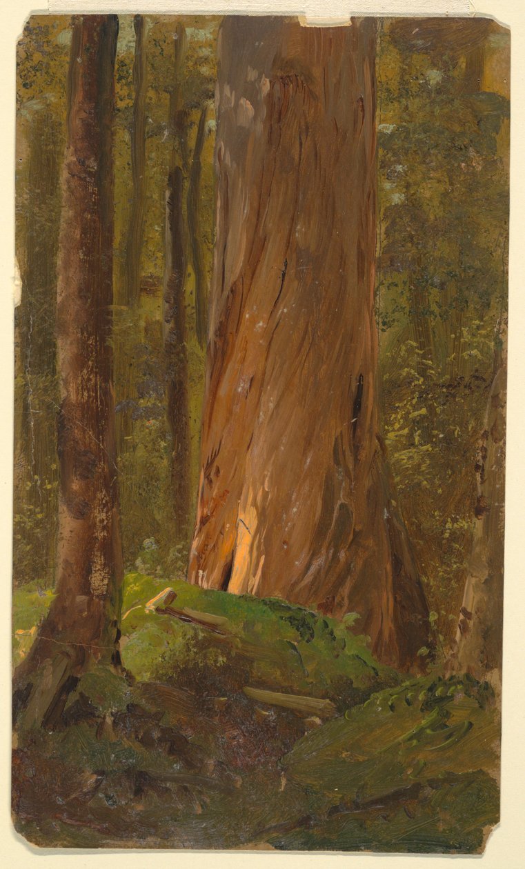 Study in the Maine Woods, 1855–65 by Frederic Edwin Church