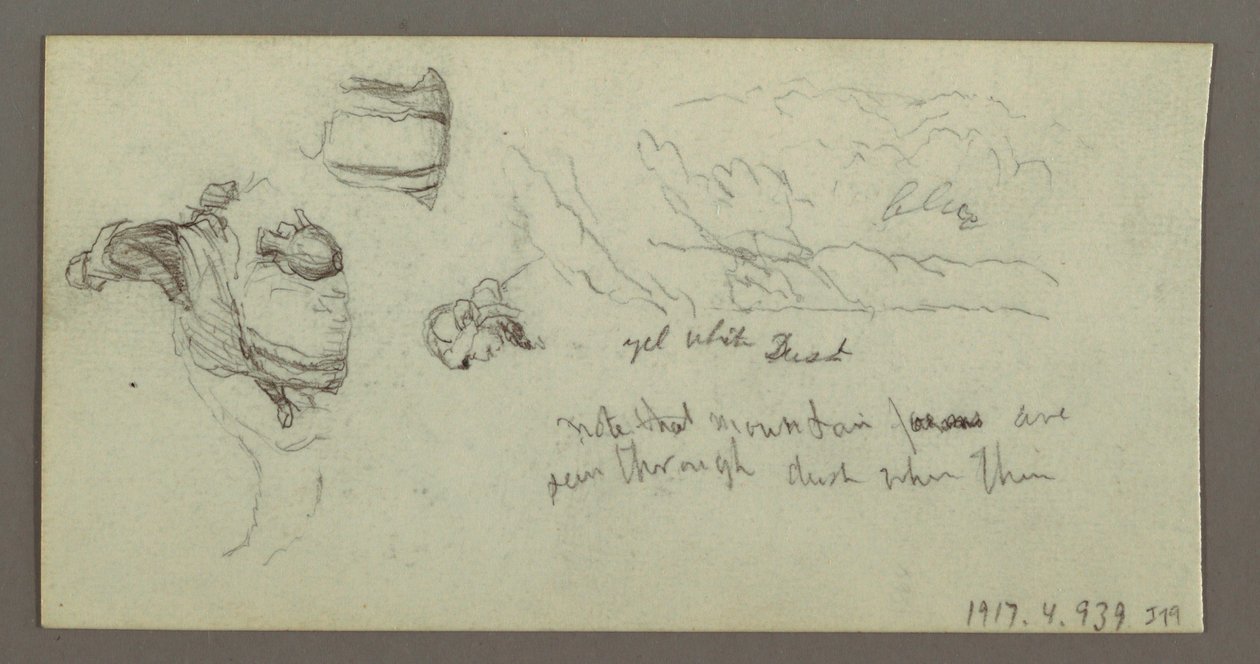 Study of Camel
