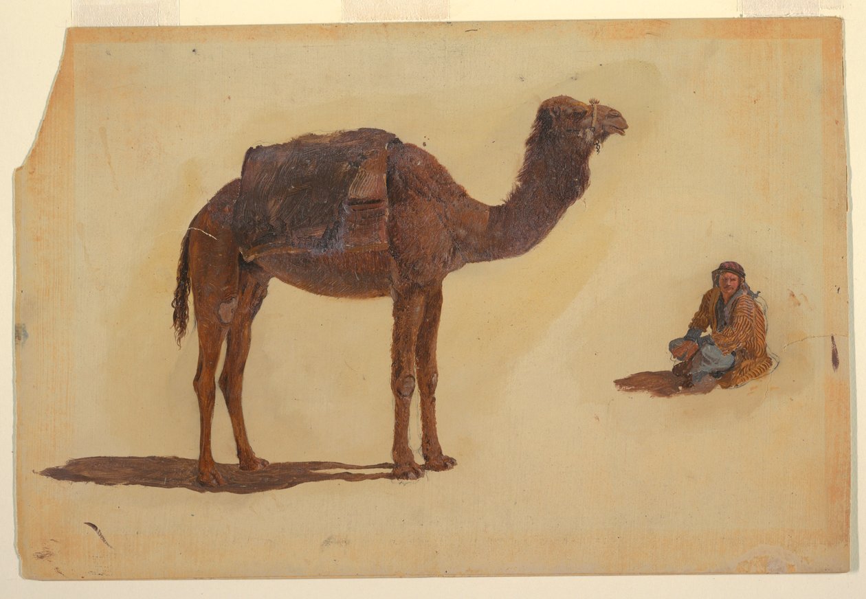 Study of a dromedary, 1868 by Frederic Edwin Church