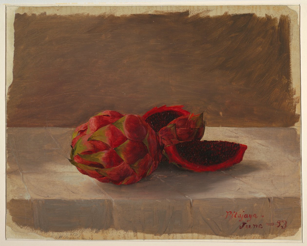 The Pitajaya Fruit, Columbia, June 1853 by Frederic Edwin Church