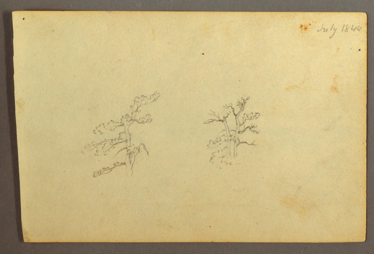 Trees, July 1844 by Frederic Edwin Church
