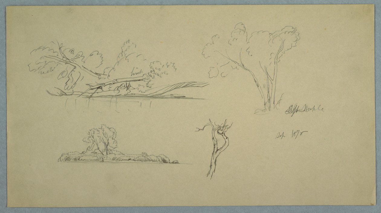Trees, a Shore with Bushes and Trees, September 1876 by Frederic Edwin Church