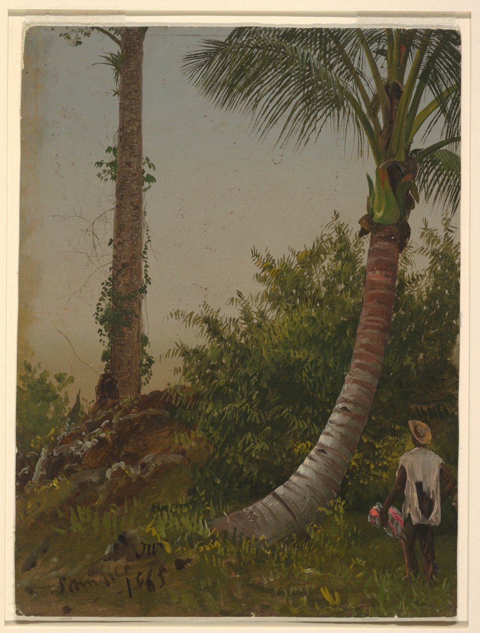 Trees in Jamaica, West Indies, 1865 by Frederic Edwin Church