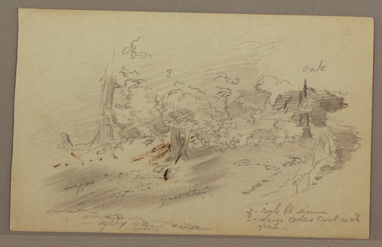 Trees, possibly 1860s by Frederic Edwin Church