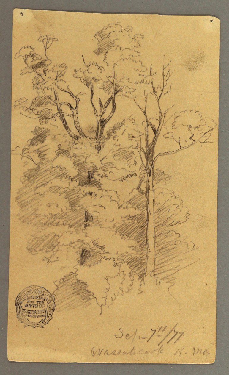 Two Trees, 1877 by Frederic Edwin Church