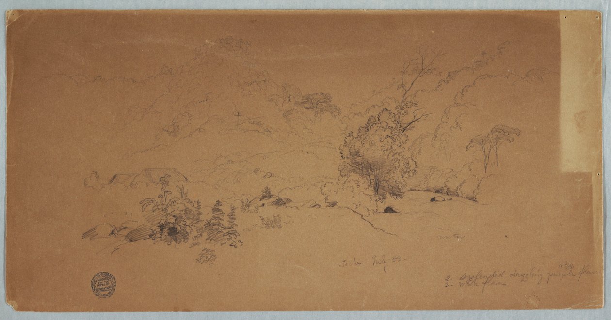 View of Toche, Colombia, July 1853 by Frederic Edwin Church