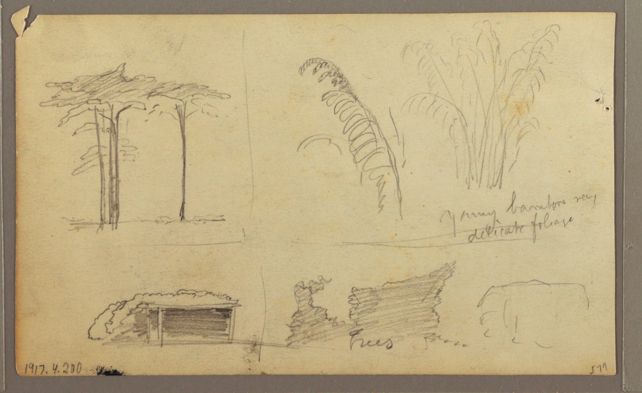 Views of the East Bank of the Guayas River, opposite Guayaquil, Ecuador, May 1857 by Frederic Edwin Church