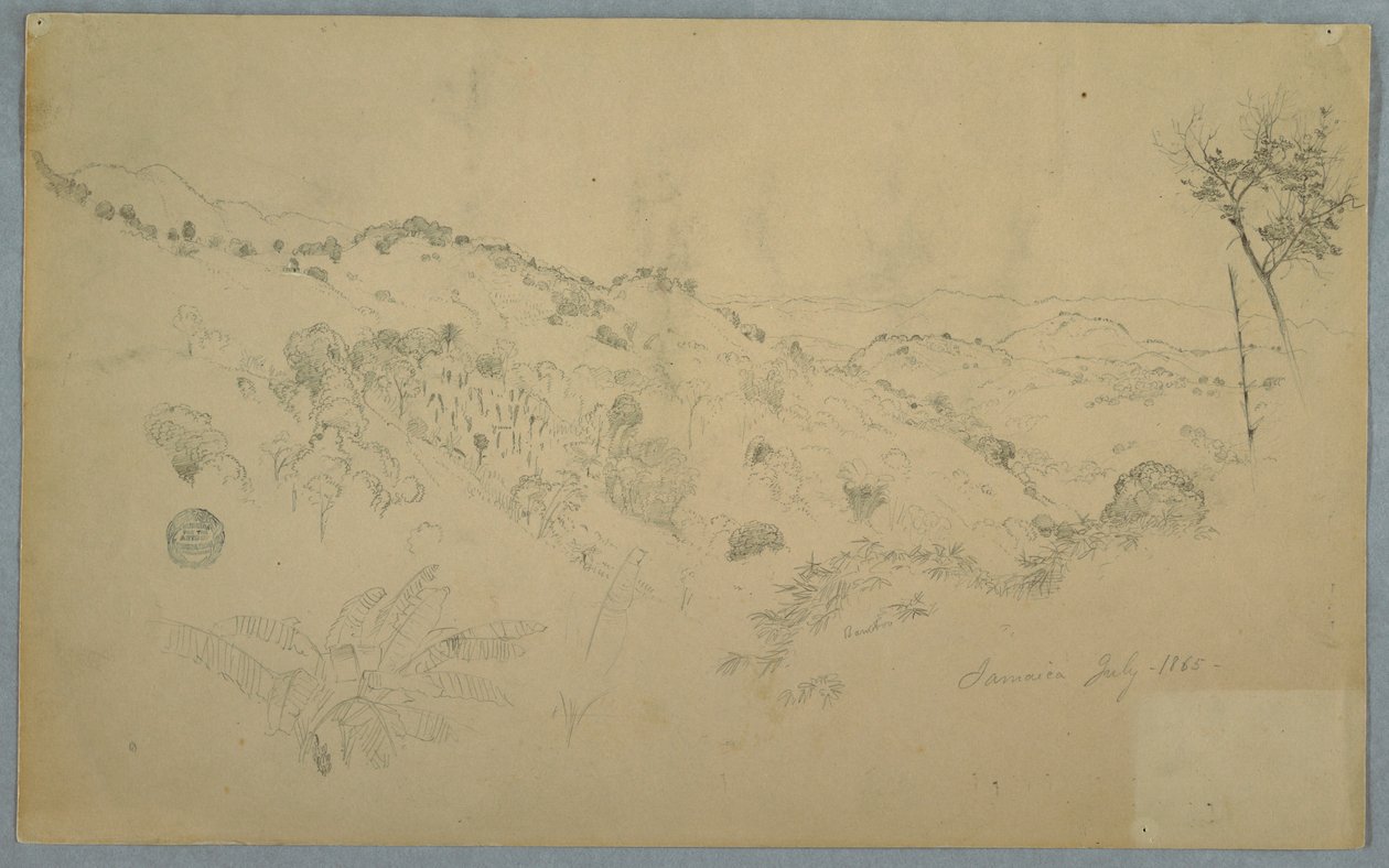 Drawing, Wooded Vale with a Large Fern and Distant Mountain Ranges, Jamaica, July 1865 by Frederic Edwin Church