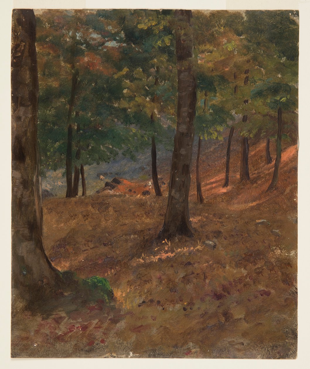 Woodland Scene, 1870–80 by Frederic Edwin Church