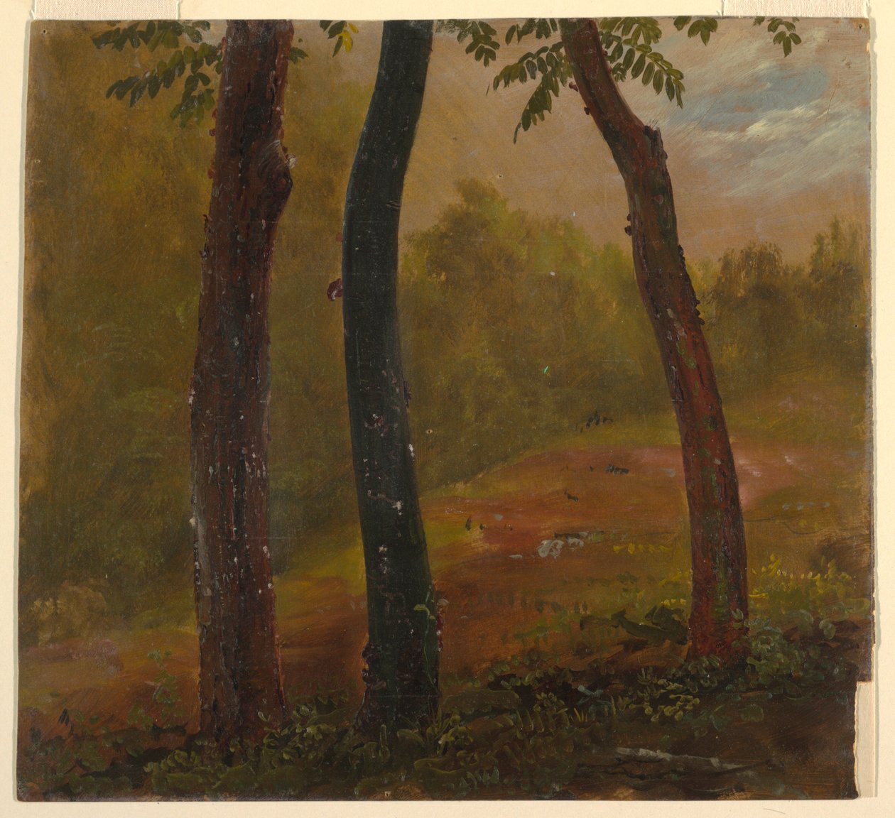 Woodland Scene, Jamaica, 1865 by Frederic Edwin Church