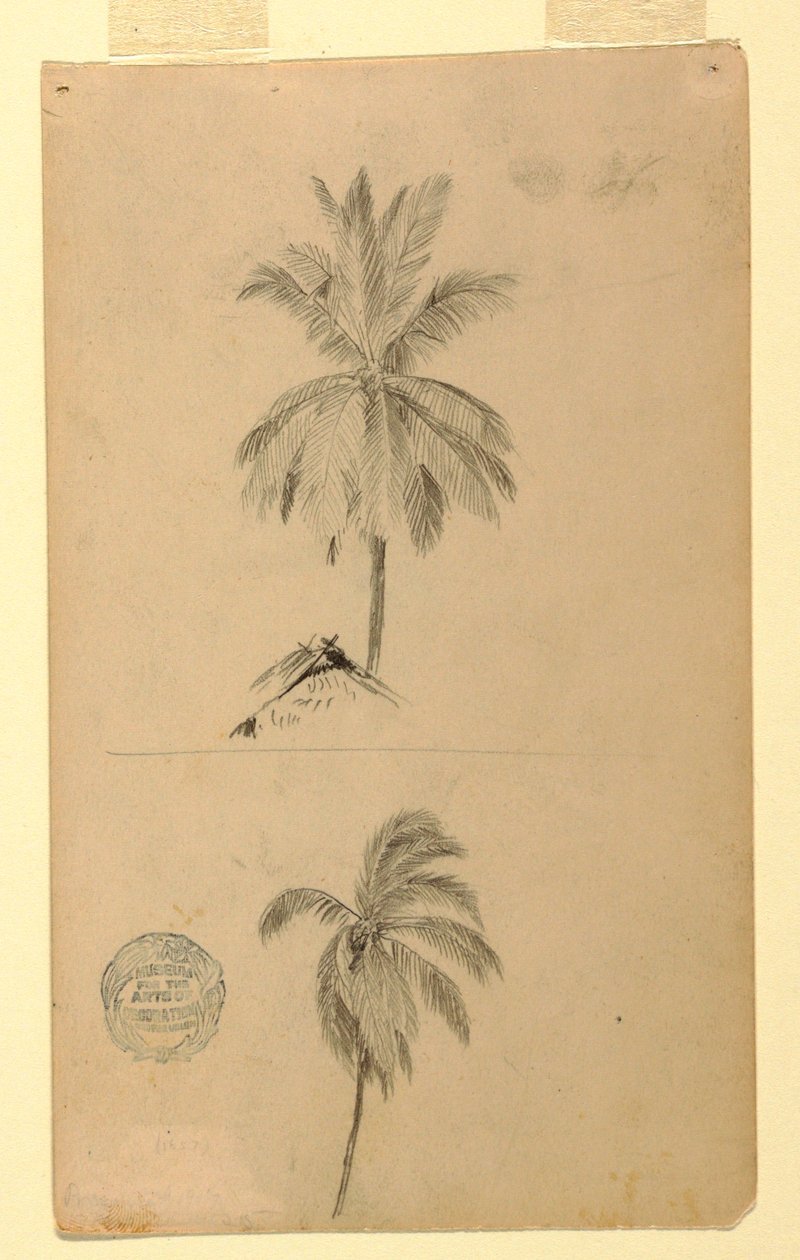 Drawings. Two sketches. Palms. by Frederic Edwin Church