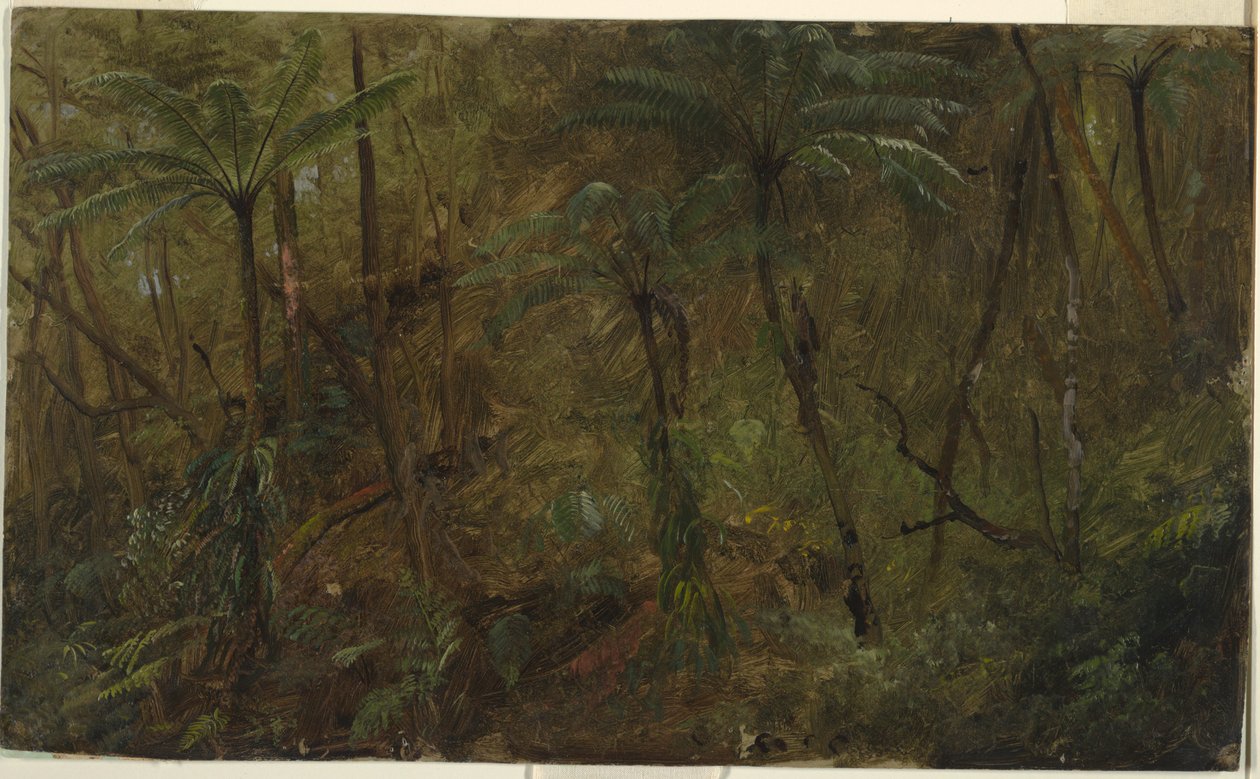 In the Woods, Jamaica by Frederic Edwin Church