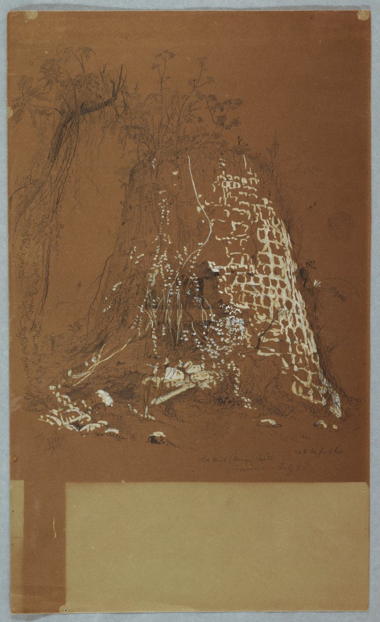 Old Windmill, Jamaica by Frederic Edwin Church