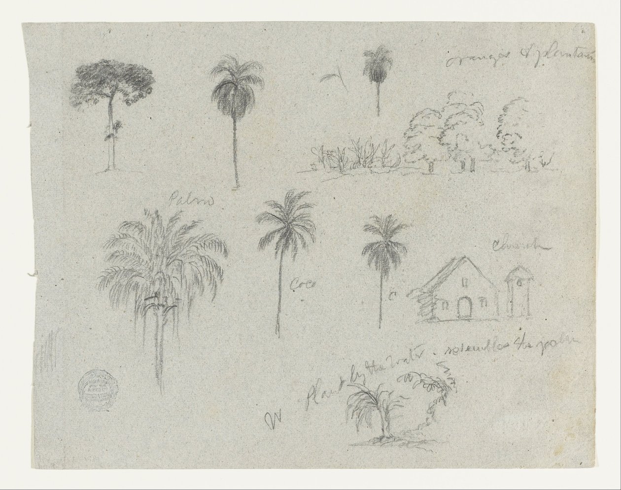 Sketches from the Rio Magdalena, Colombia. Botanical Sketches. A Church. by Frederic Edwin Church
