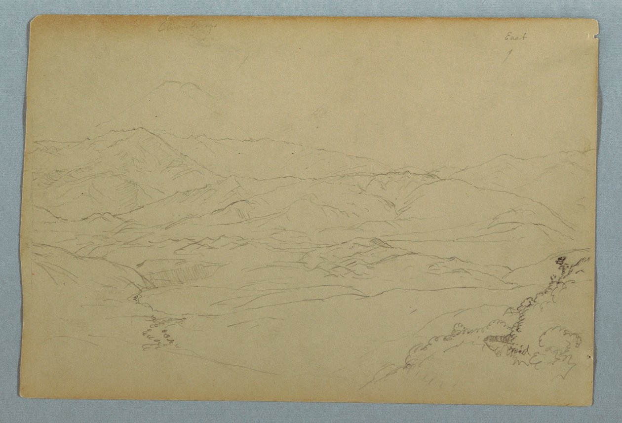 Sketches of Plants and of Part of the Balustrade Bordering the Terrace at the Inn at Guaranda, Ecuador by Frederic Edwin Church