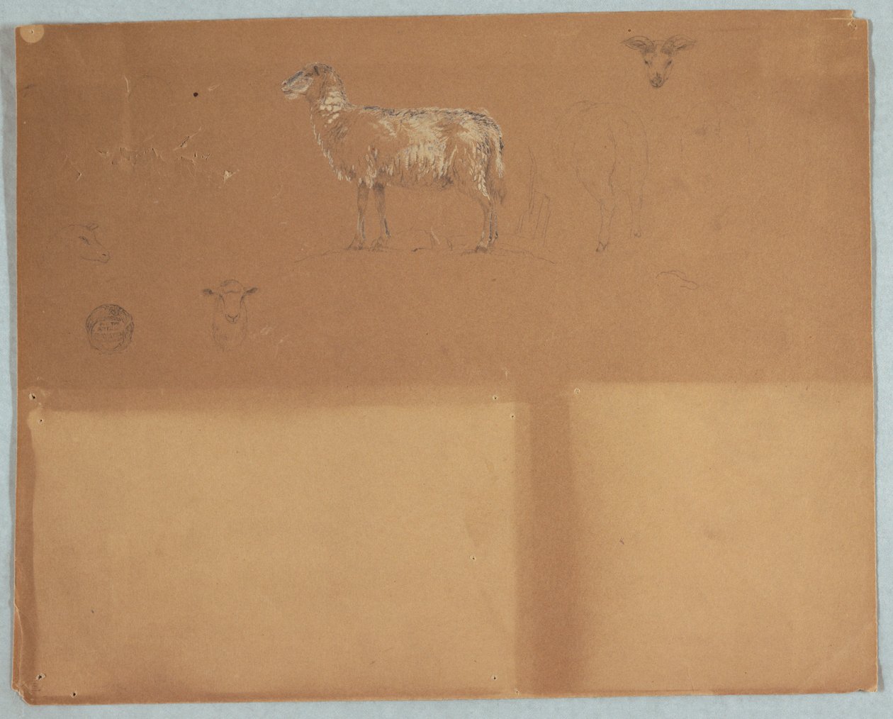 Studies of Sheep, Ecuador or Colombia by Frederic Edwin Church