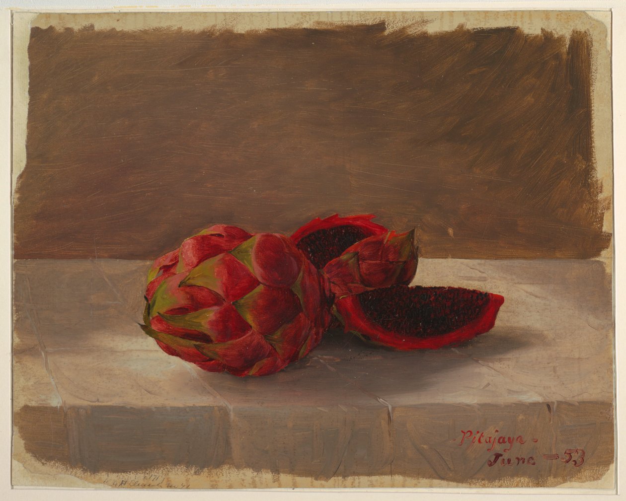 The Pitajaya Fruit, Columbia by Frederic Edwin Church