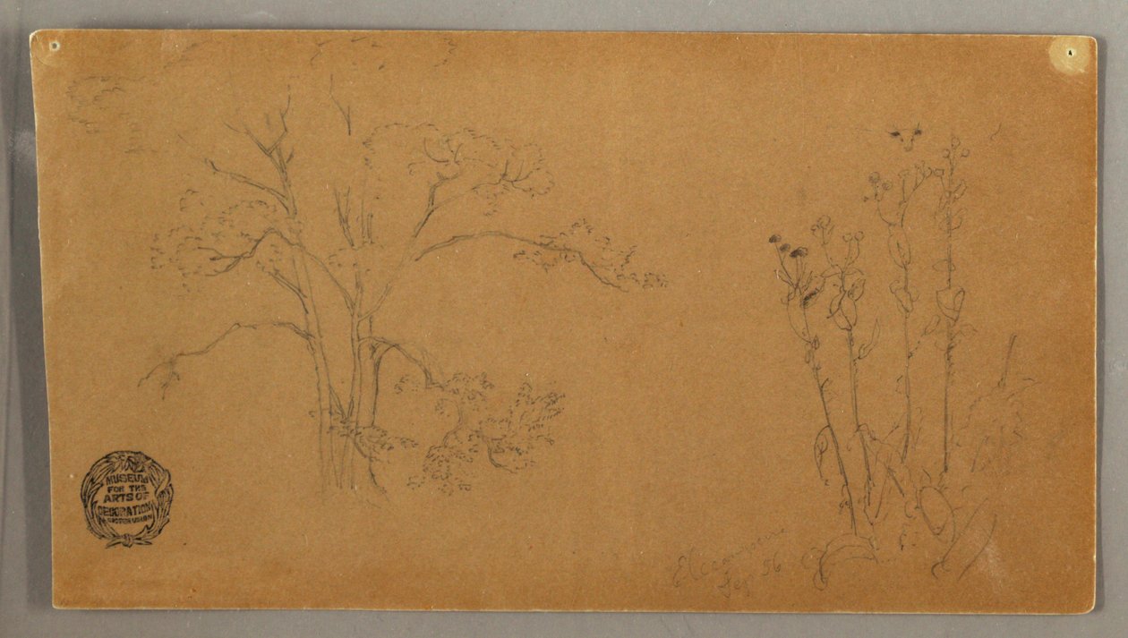 Trees and Plants, Elecampene by Frederic Edwin Church