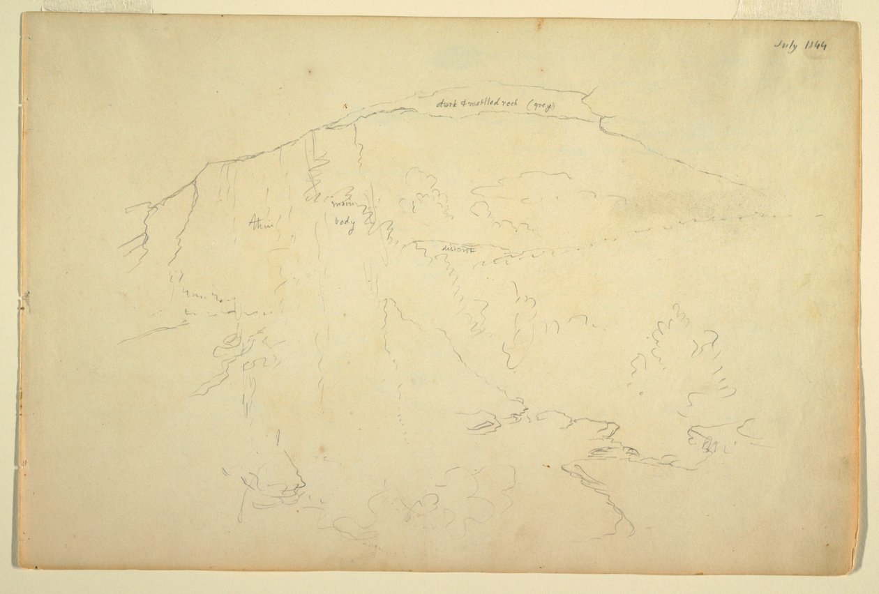 Wooded Hillside, Catskill Mountains by Frederic Edwin Church