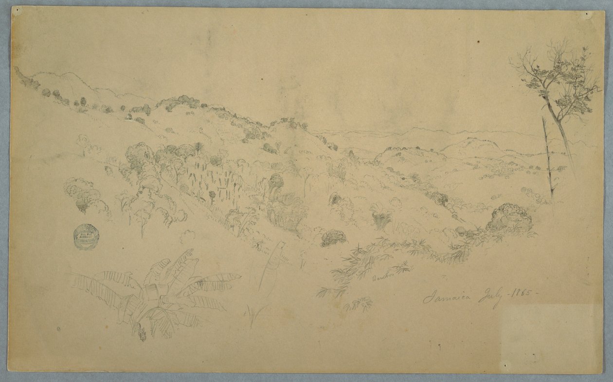 Wooded Vale with a Large Fern and Distant Mountain Ranges, Jamaica by Frederic Edwin Church