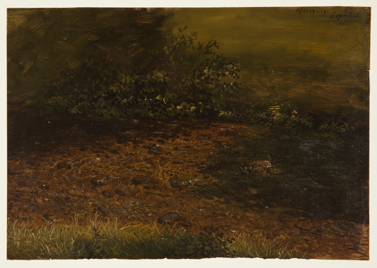 Woodland Stream in the Catskills by Frederic Edwin Church