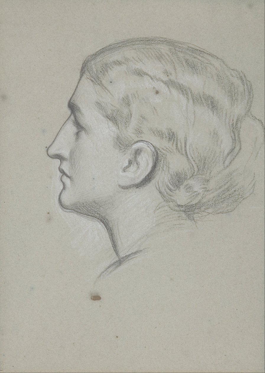 Study of a woman