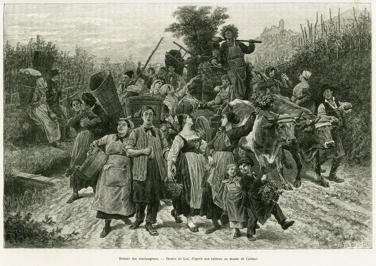 Return of the harvest. Engraving by Lix, to illustrate the story 