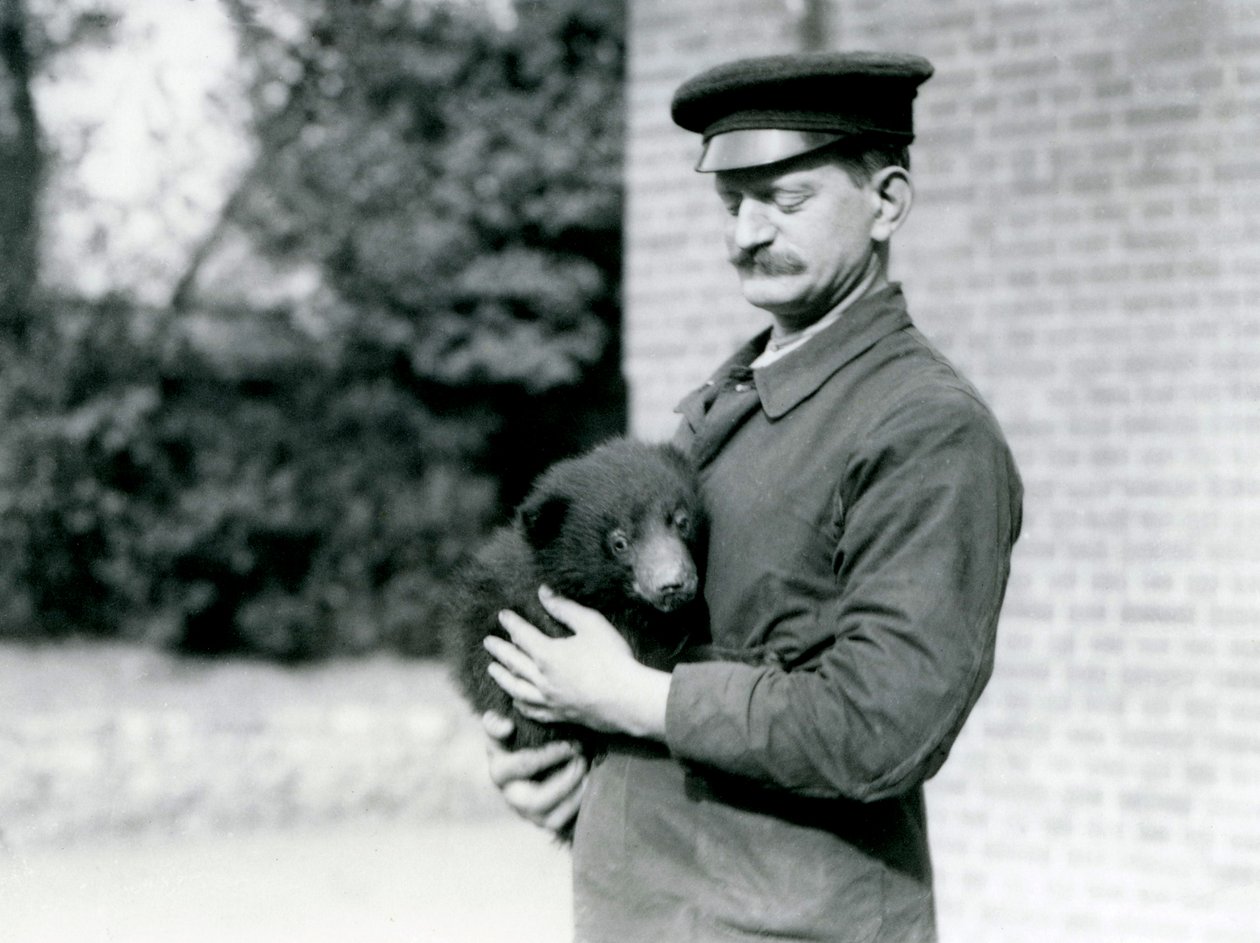 A Keeper Holds a Sloth Bear Cub at London Zoo, August 1921 by Frederick William Bond