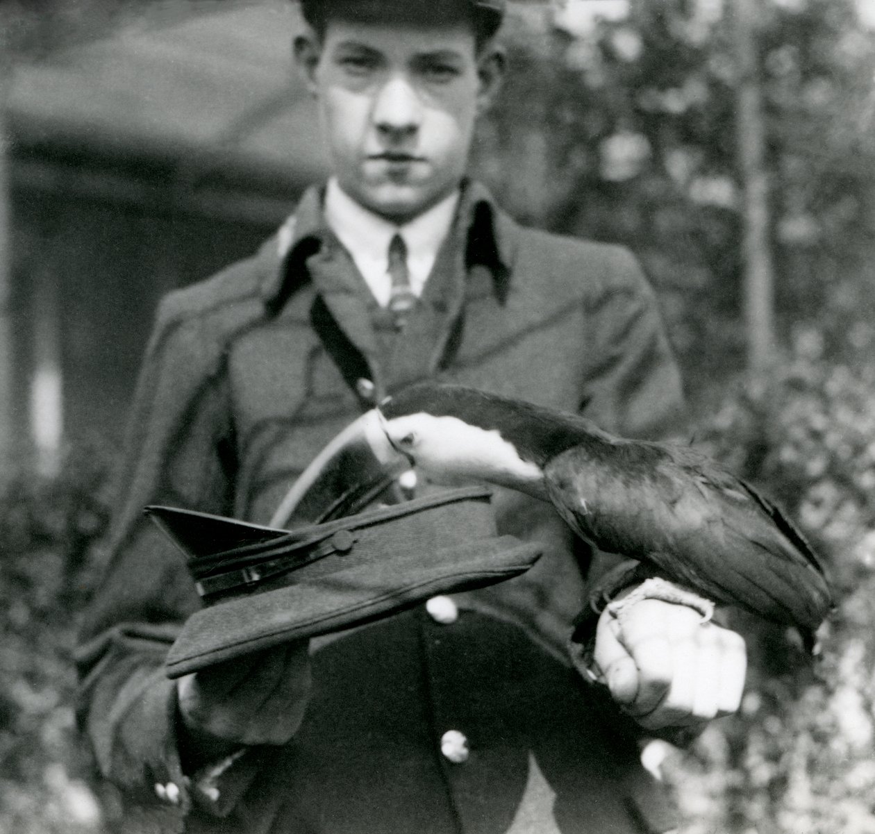 A Red-billed Toucan draws a ticket from a hat, held by keeper C. Hersey, London Zoo, 1923 by Frederick William Bond