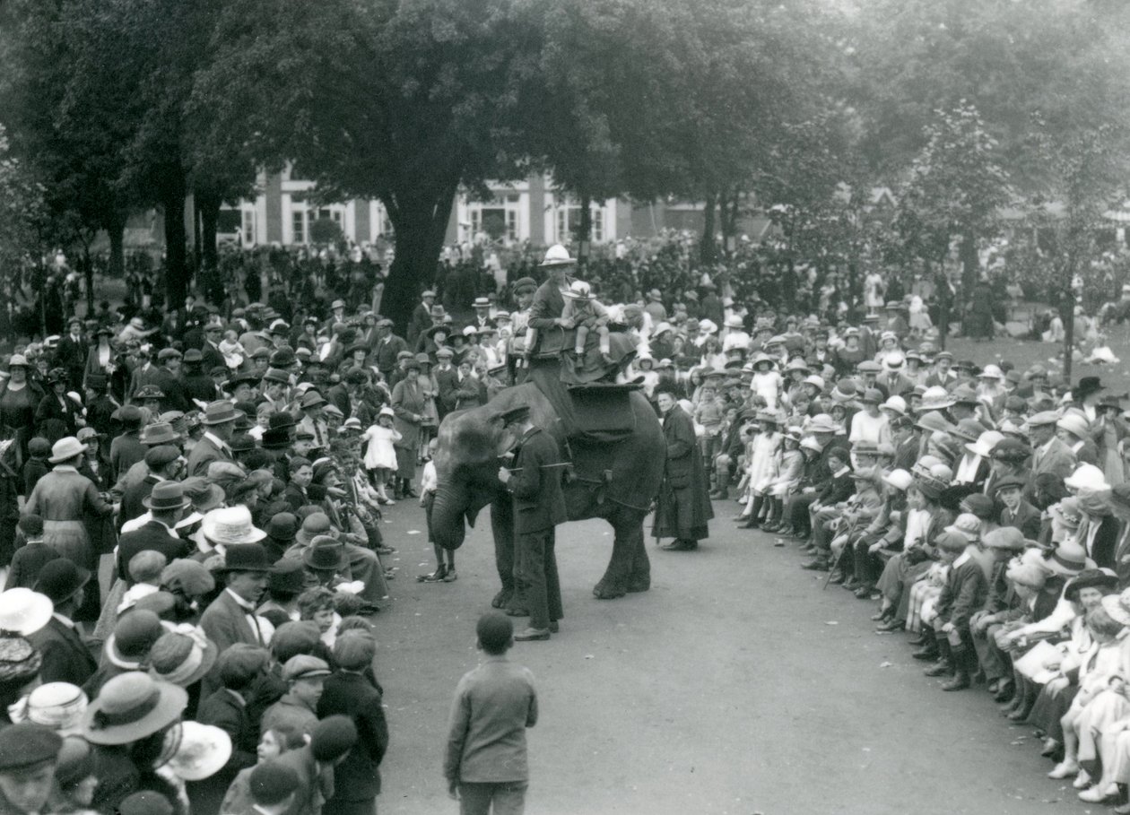 Crowds of visitors watch an elephant ride at London Zoo, August bank holiday by Frederick William Bond