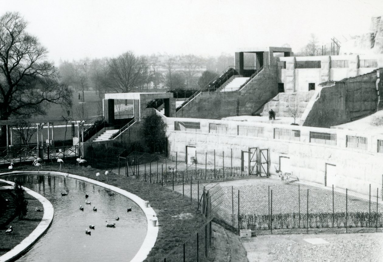 Enclosures in front of the Mappin Terraces, London Zoo, 1922 by Frederick William Bond