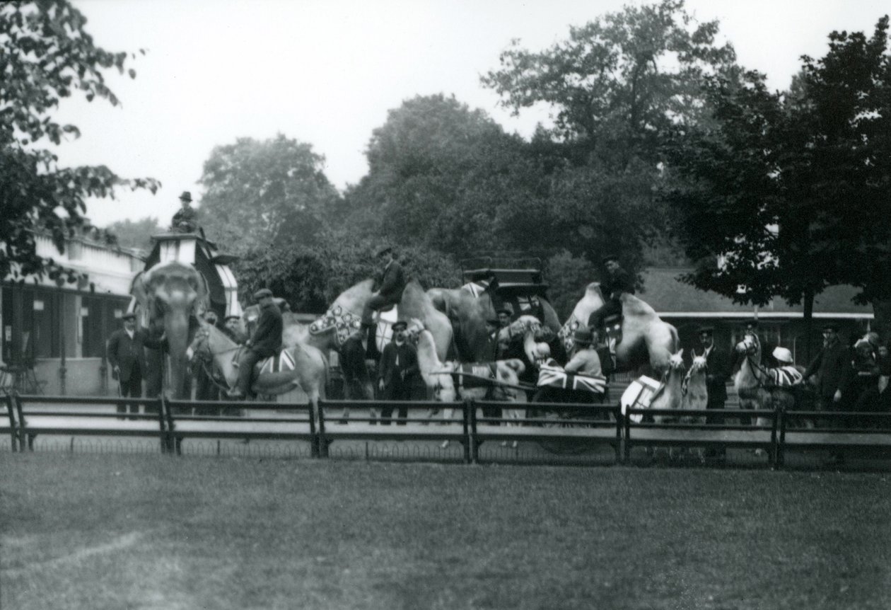 Riding Animals Bedecked for the Peace Day Celebrations, 19th July 1919 by Frederick William Bond