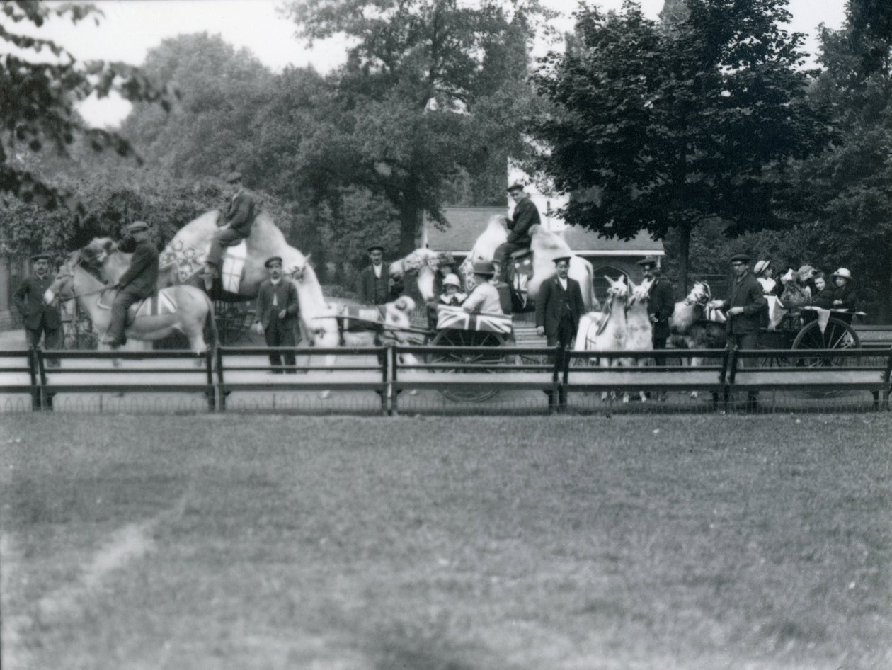 Riding animals bedecked for the Peace Day celebrations, 19th July 1919 by Frederick William Bond