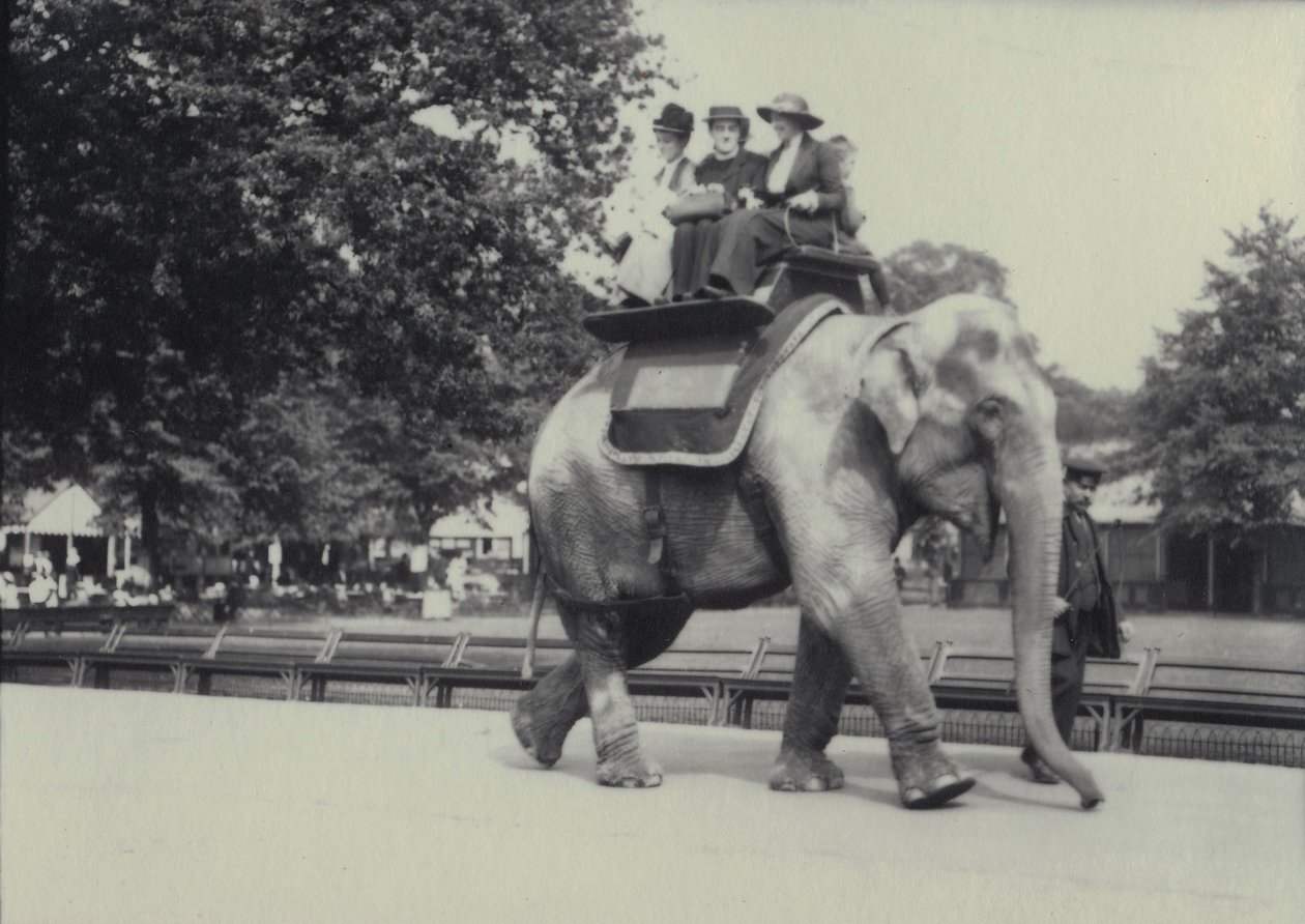 Three Ladies Being Given a Ride on an Asian Elephant, Led by a Keeper, at London Zoo, May 1914 by Frederick William Bond