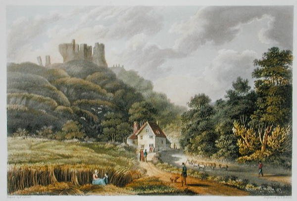 Carisbrook, from 