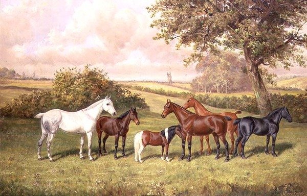 A Group of Ponies by Frederick Albert Clark